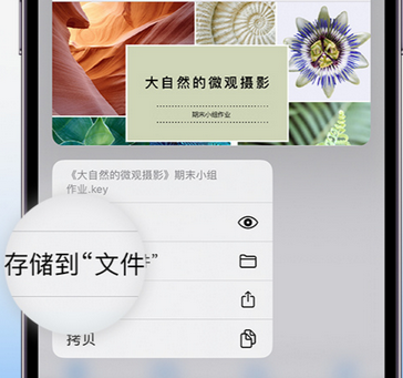 南宫apple维修中心分享iPhone文件应用中存储和找到下载文件