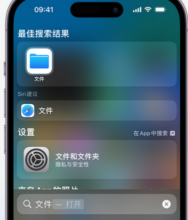 南宫apple维修中心分享iPhone文件应用中存储和找到下载文件