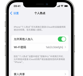 南宫apple服务站点分享iPhone上个人热点丢失了怎么办 