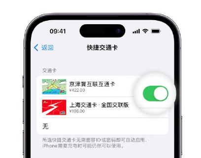 南宫apple维修点分享iPhone上更换Apple Pay快捷交通卡手绘卡面 