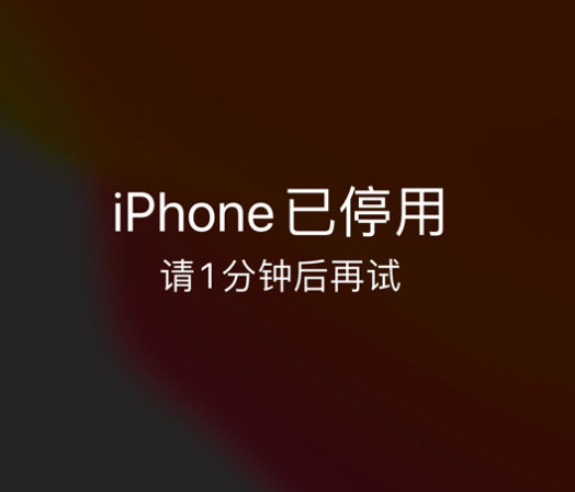 南宫苹果手机维修分享:iPhone 显示“不可用”或“已停用”怎么办？还能保留数据吗？ 