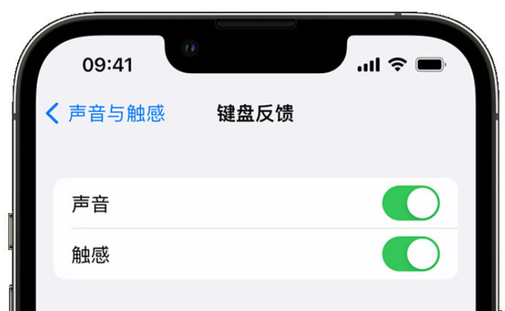 南宫苹果手机维修分享iPhone 14触感键盘使用方法 