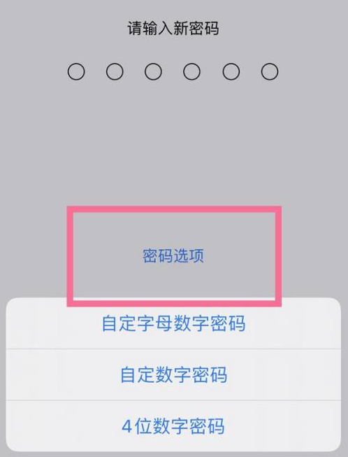 南宫苹果14维修分享iPhone 14plus设置密码的方法 