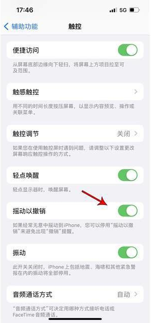 南宫苹果手机维修分享iPhone手机如何设置摇一摇删除文字 